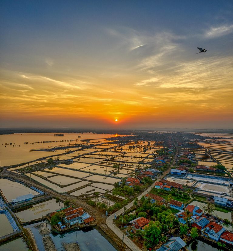 Picturesque aerial view of rice paddies near calm ocean in tropical village against cloudy sunset sky